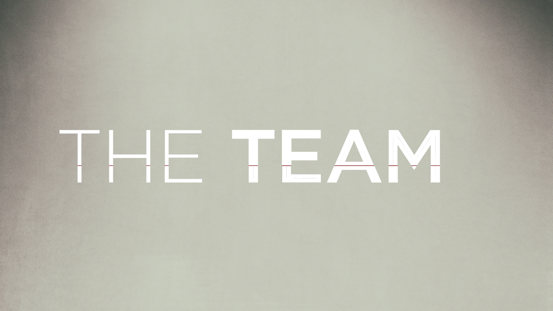 The Team