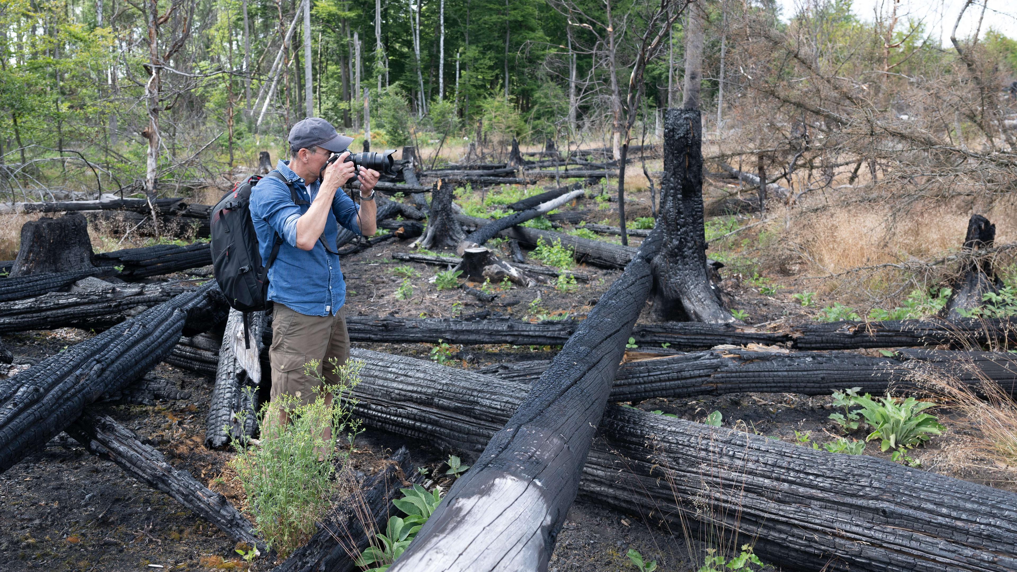 Sachsen, Schmilka: Ein Journalist fotografiert im Rahmen eines Pressetermins Waldbrandflächen im Nationalpark Sächsische Schweiz.