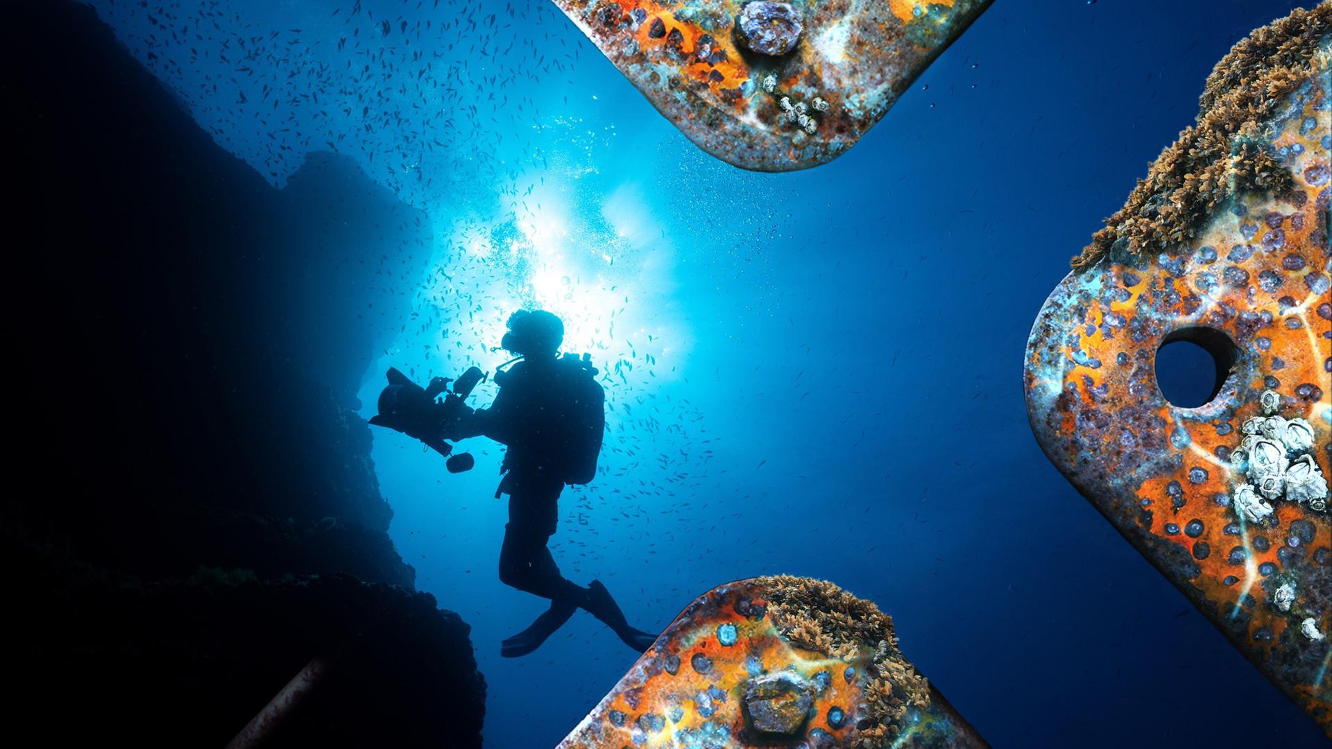 Florian Huber in einem Fischschwarm 