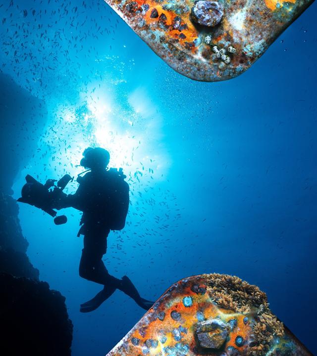 Florian Huber in einem Fischschwarm 