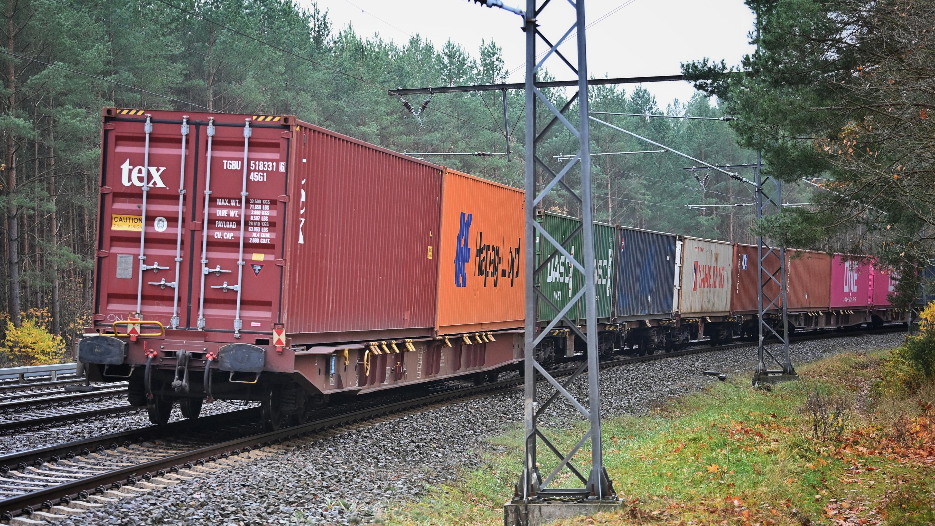Ein Güterzug fährt durch den Wald in Brandenburg bei Hohen Neuendorf.