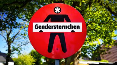 Kulturzeit - Gendern Verbieten - Ja Oder Nein?