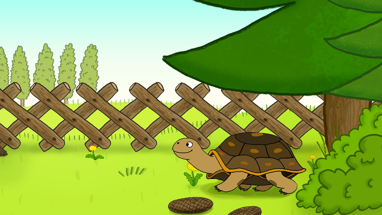 Solana Schildkröte