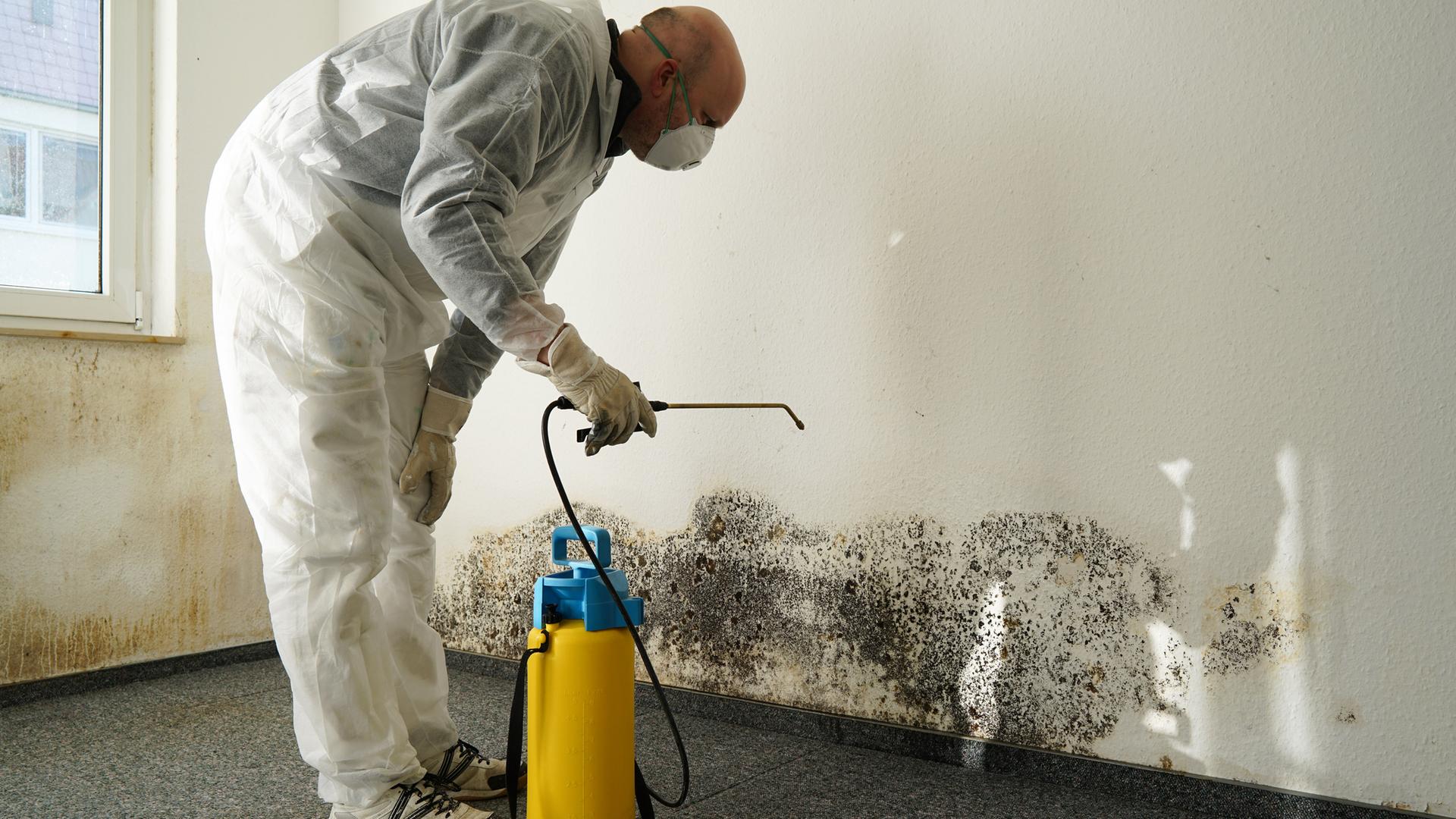 Mann trägt Substanz in leerer Wohnung gegen Schimmel auf
