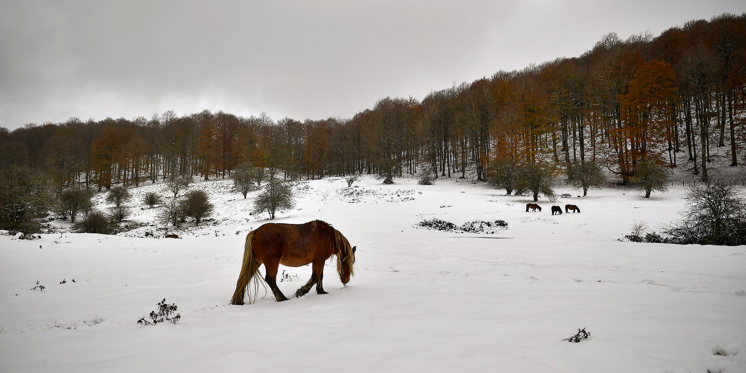 Schneebedeckten Landschaft bei Baraibar, Nordspanien.