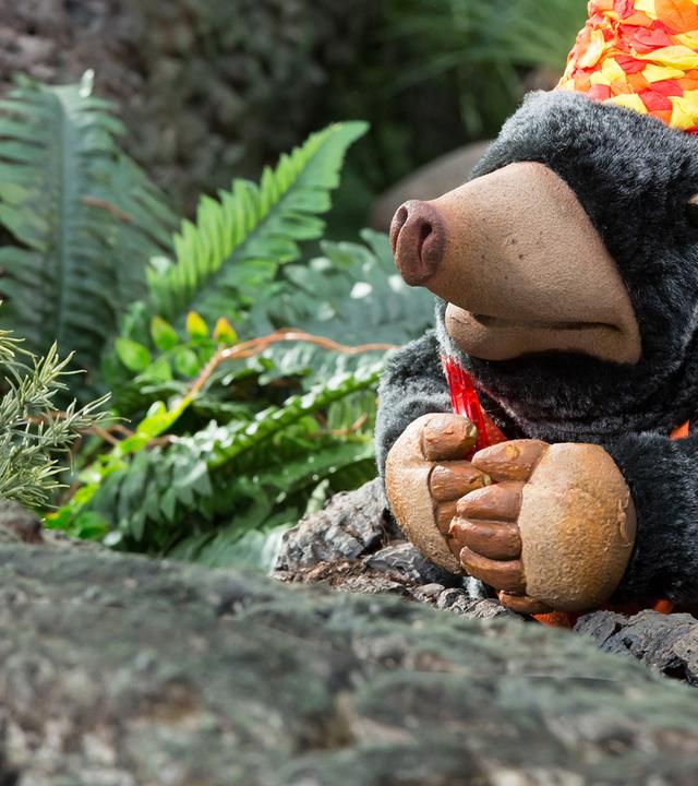 Hier schreibt der liebe Thomas noch was rein ... 