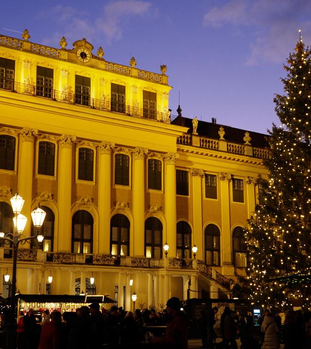 Ein festlich beleuchtetes Gebäude im Abendlicht mit geschmückter Weihnachtstanne im Vordergrund.