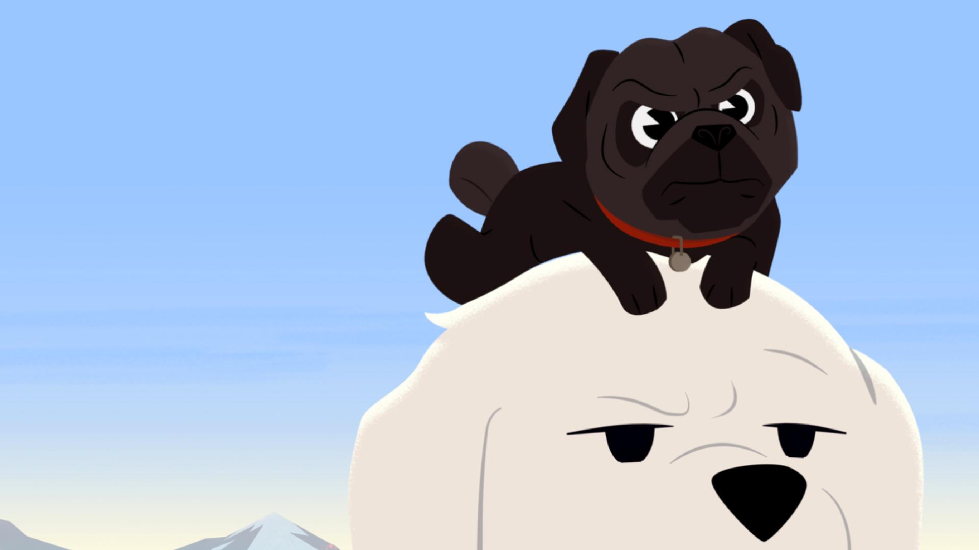 Belle hat einen kleinen Mops auf dem Kopf und guckt ein wenig genervt.