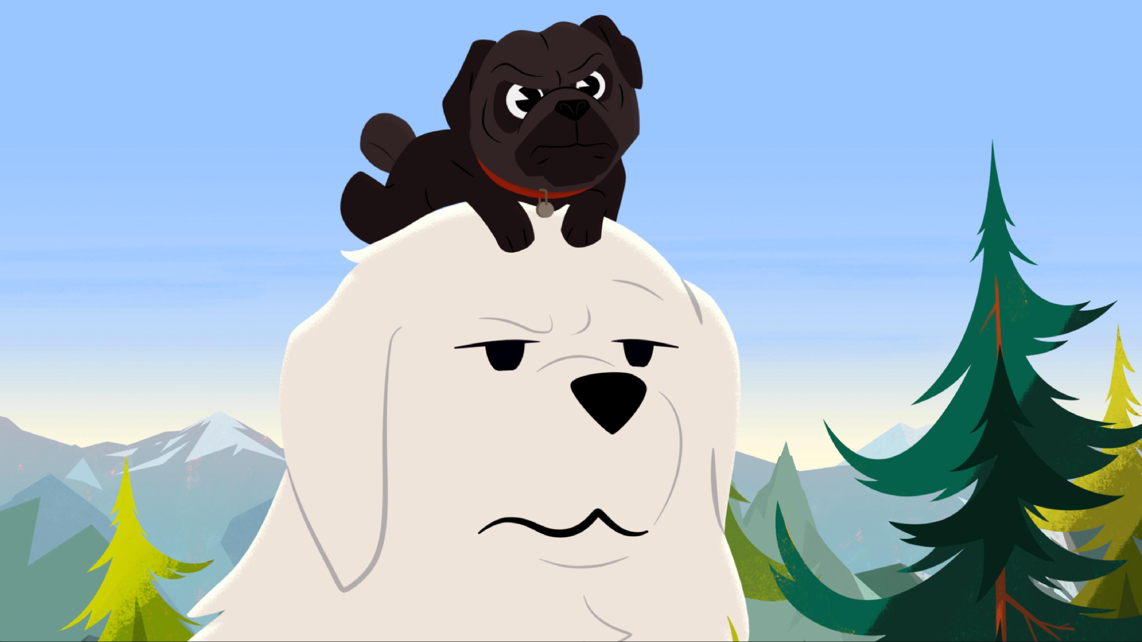 Belle hat einen kleinen Mops auf dem Kopf und guckt ein wenig genervt.