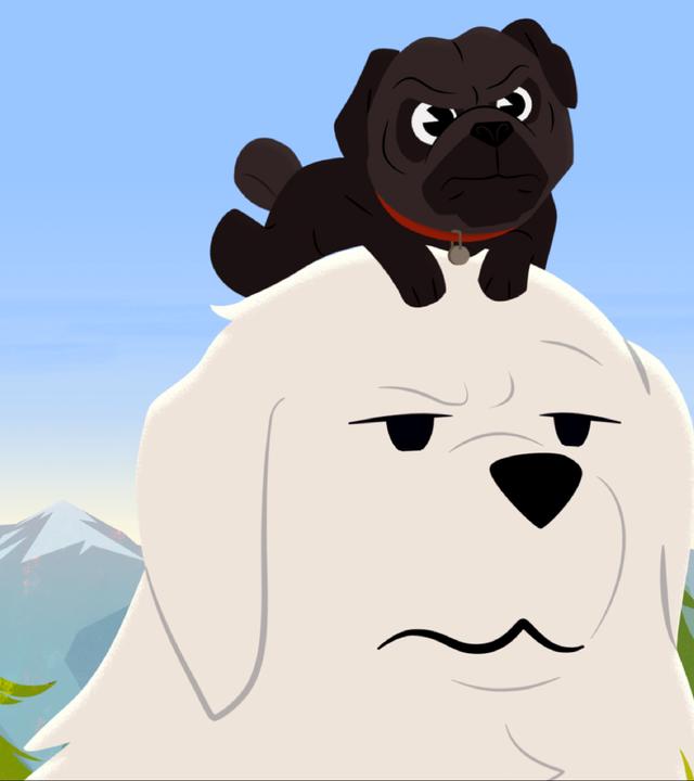 Belle hat einen kleinen Mops auf dem Kopf und guckt ein wenig genervt.