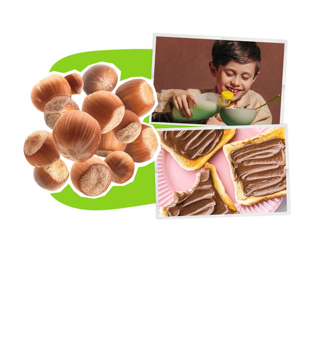 Eine Collage zeigt Haselnüsse auf der linken Seite, rechts daneben zwei Fotos eines Jungen vor einer Müslischale und einer Milchflasche in der Hand, darunter ein Foto, das drei Toasts mit Schokocreme darauf zeigt.