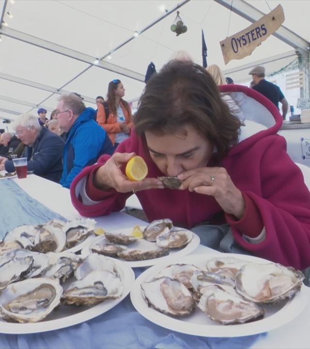 Schottland: Austern-Festival