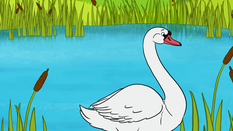 Ein Schwan steht an einem See