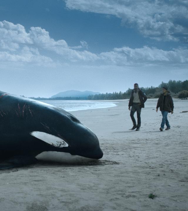 An einem Strand liegt ein toter Orka mit Schnittverletzungen. Im Hintergrund nähern sich zwei Männer. 