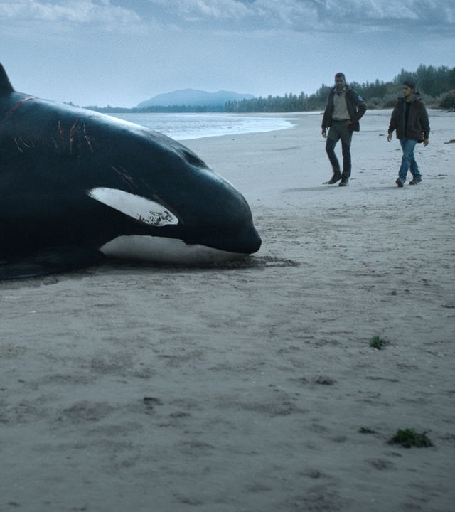 An einem Strand liegt ein toter Orka mit Schnittverletzungen. Im Hintergrund nähern sich zwei Männer. 