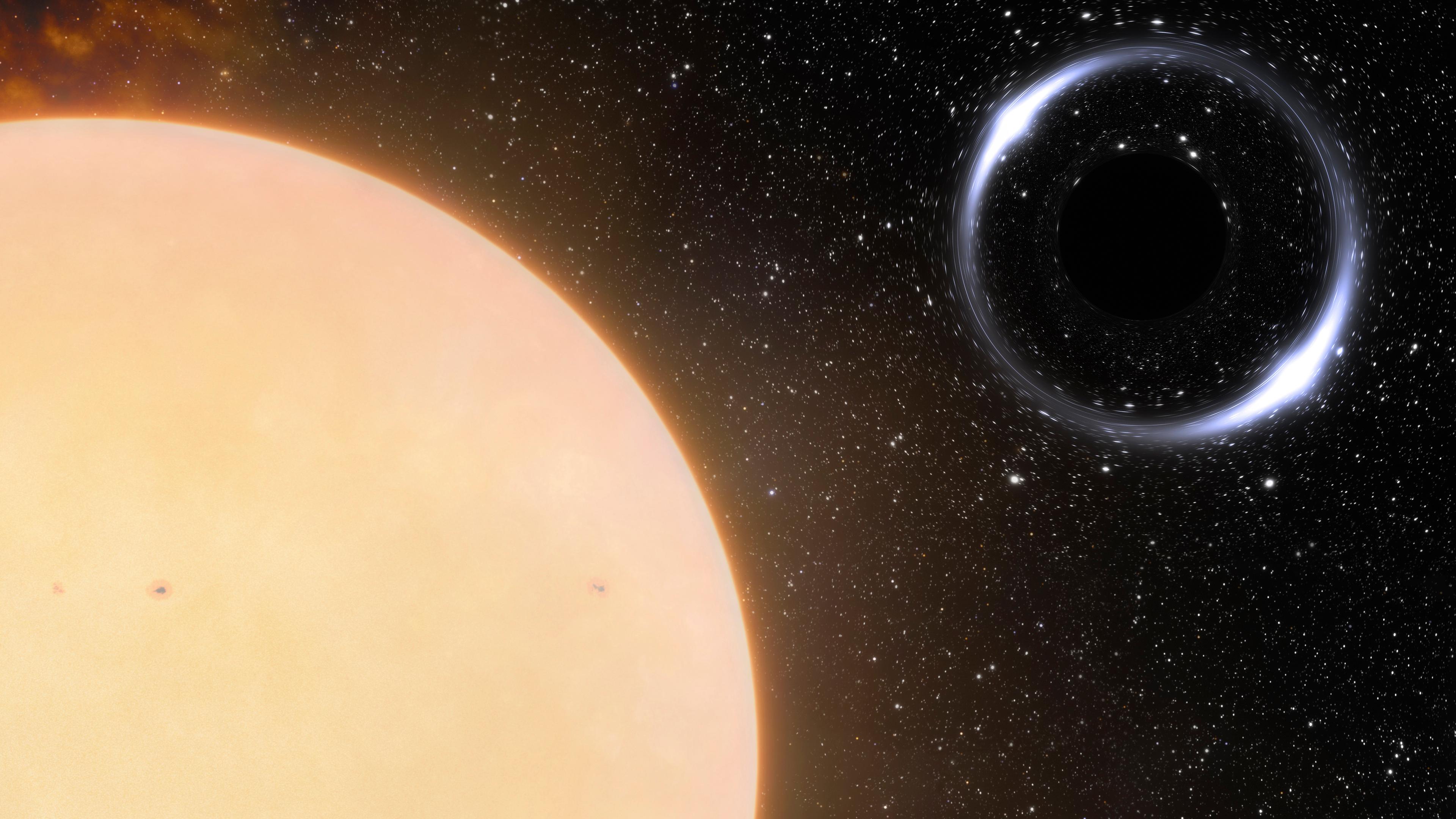 Das nächste Schwarze Loch zur Erde mit seinem sonnenähnlichen Begleitstern.