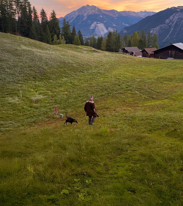 Laufhund Nacho mit Herrchen Pascal Buff