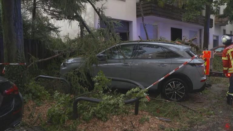 Abgebrochene Äste eines Baumes liegen auf einem Auto