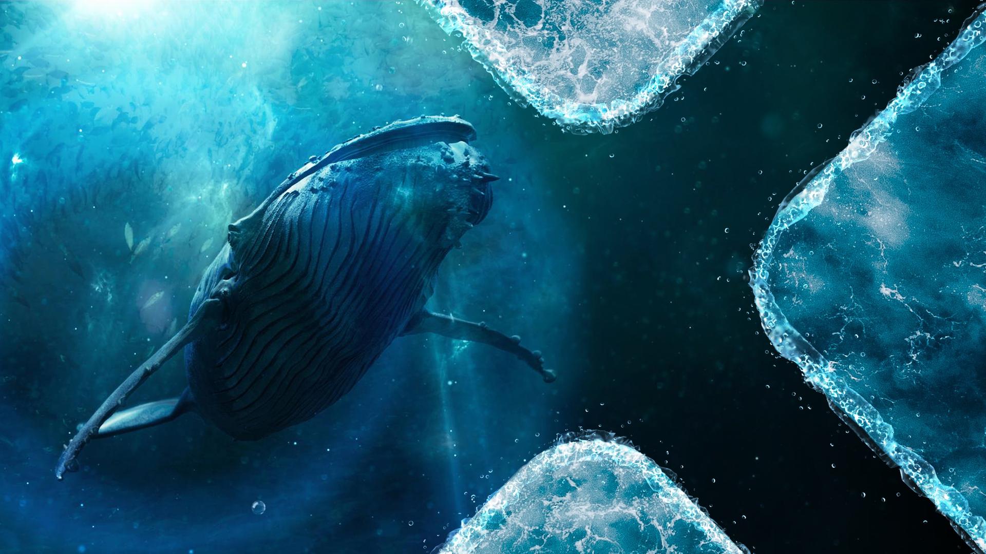 CGI: Unterwasseraufnahme eines schwimmenden Wals. Licht fällt von auf die Wasseroberfläche.