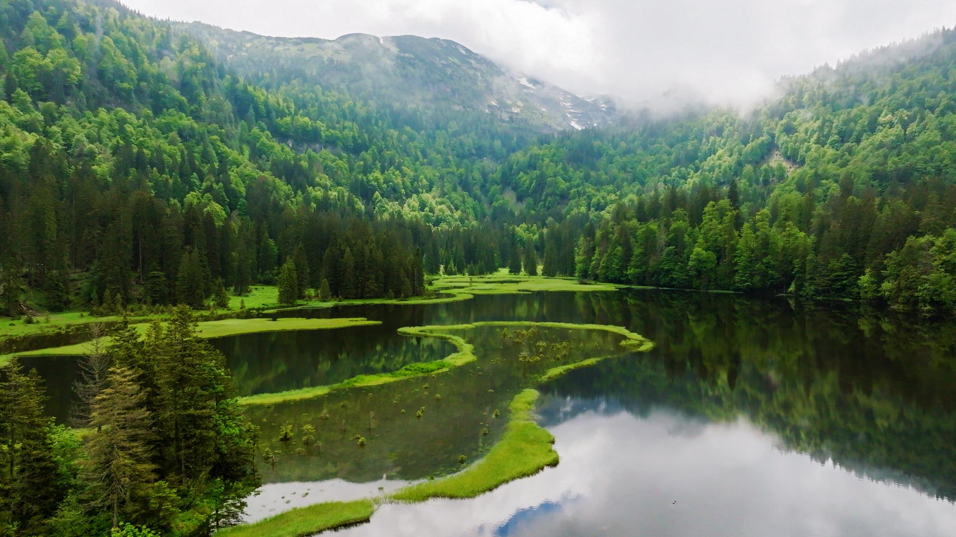 Der märchenhafte Obersee im Nebel und mit magischen Grüntönen