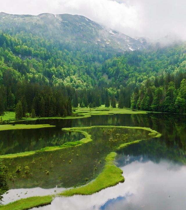 Der märchenhafte Obersee im Nebel und mit magischen Grüntönen
