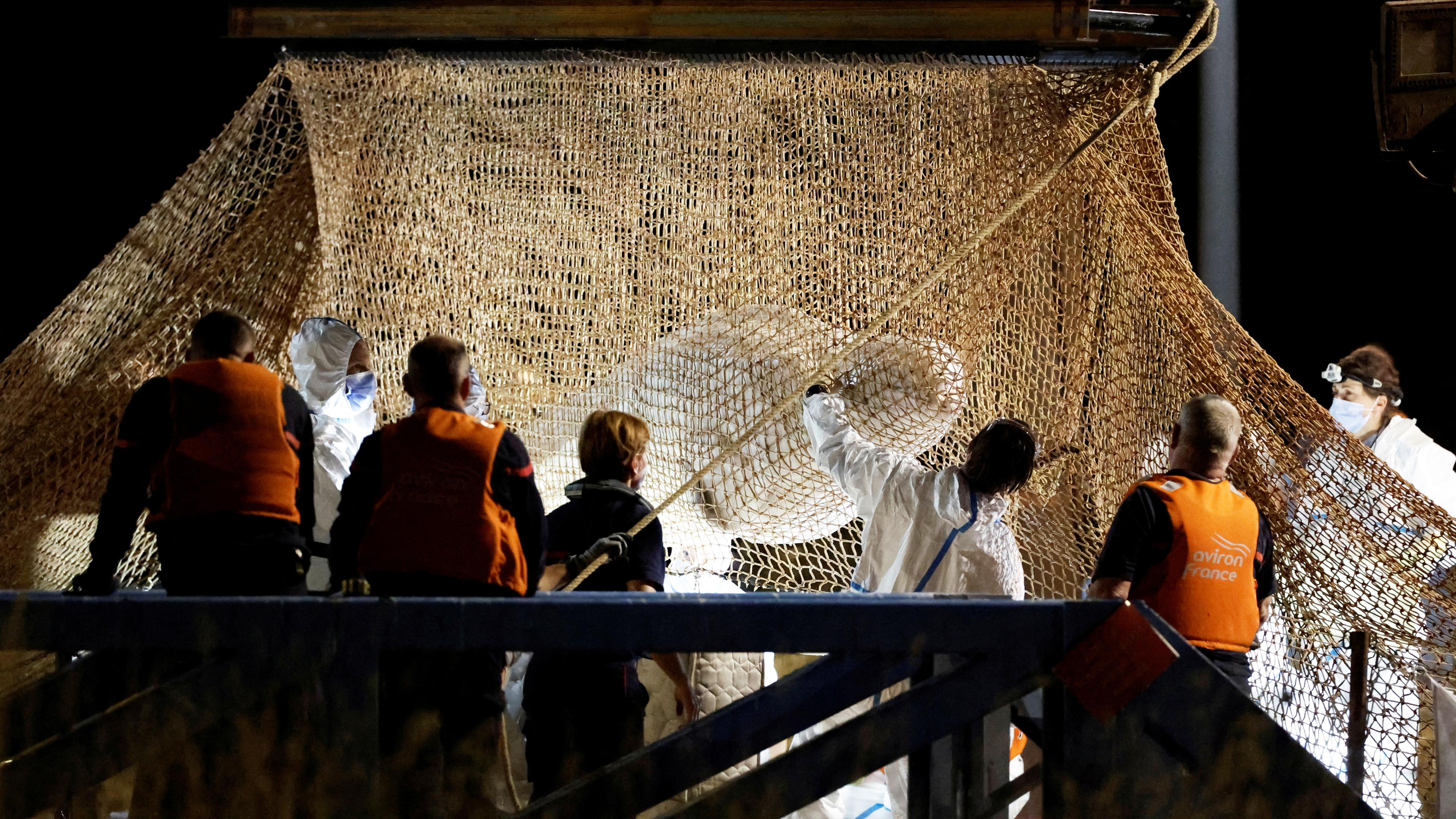 Rettungsaktion in Frankreich: Belugawal wird aus der Seine gehoben