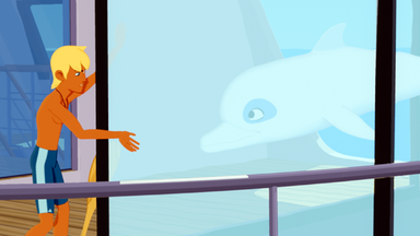 Zoom - Der Weiße Delfin - Zoom - Der Weiße Delfin: Seltene Spezies - Die Rettung