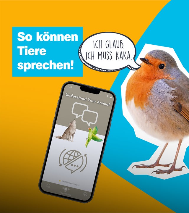 Ein Smartphone zeigt eine App, daneben steht ein Rotkehlchen mit einer Sprechblase und sagt: "Ich glaub, ich muss Kacka."