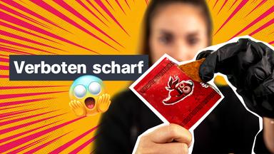 Logo! - Die Kindernachrichten Des Zdf - Logo! Am Freitag, 10.11.2023 - Nachrichten, Einfach Erklärt