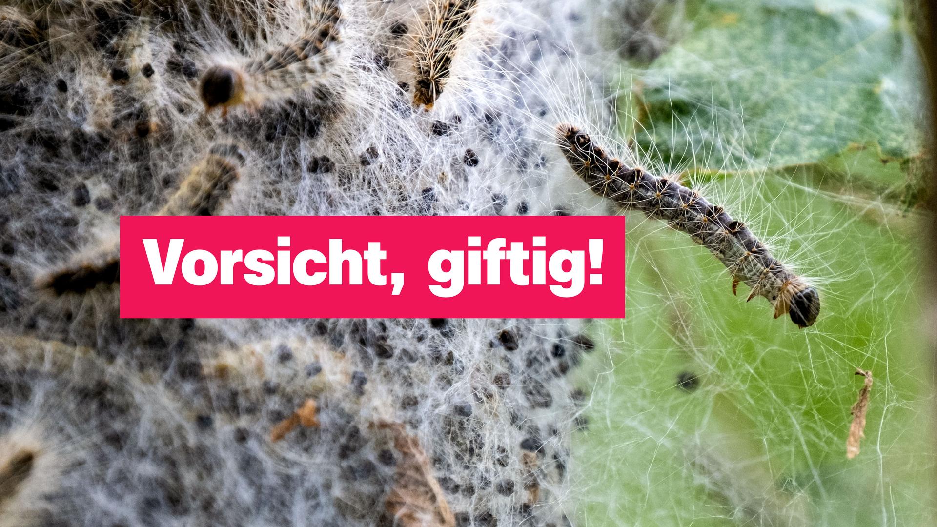 Sendung 23. Mai