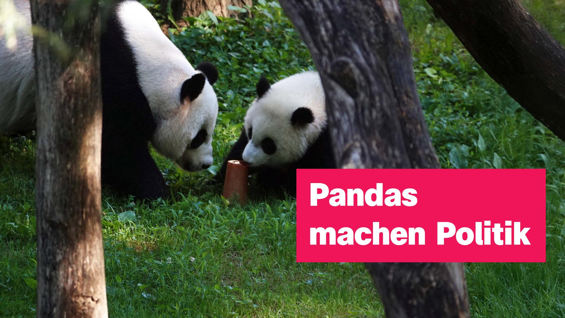 Sendung vom 27. September 2026