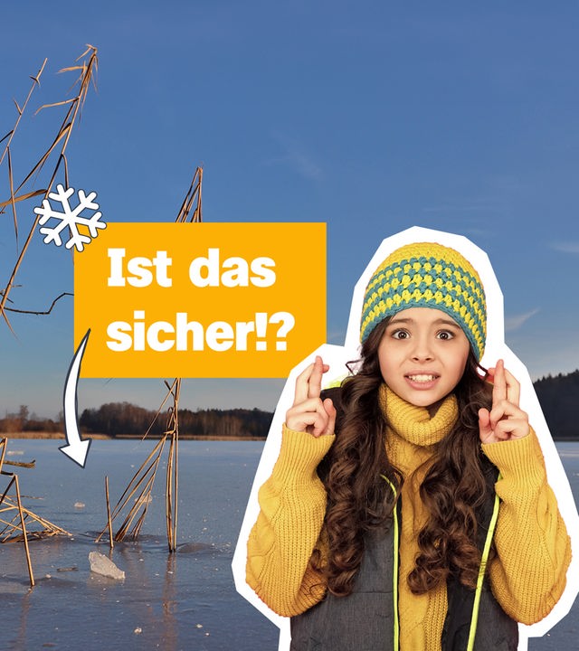 logo! vom 28.12.2025