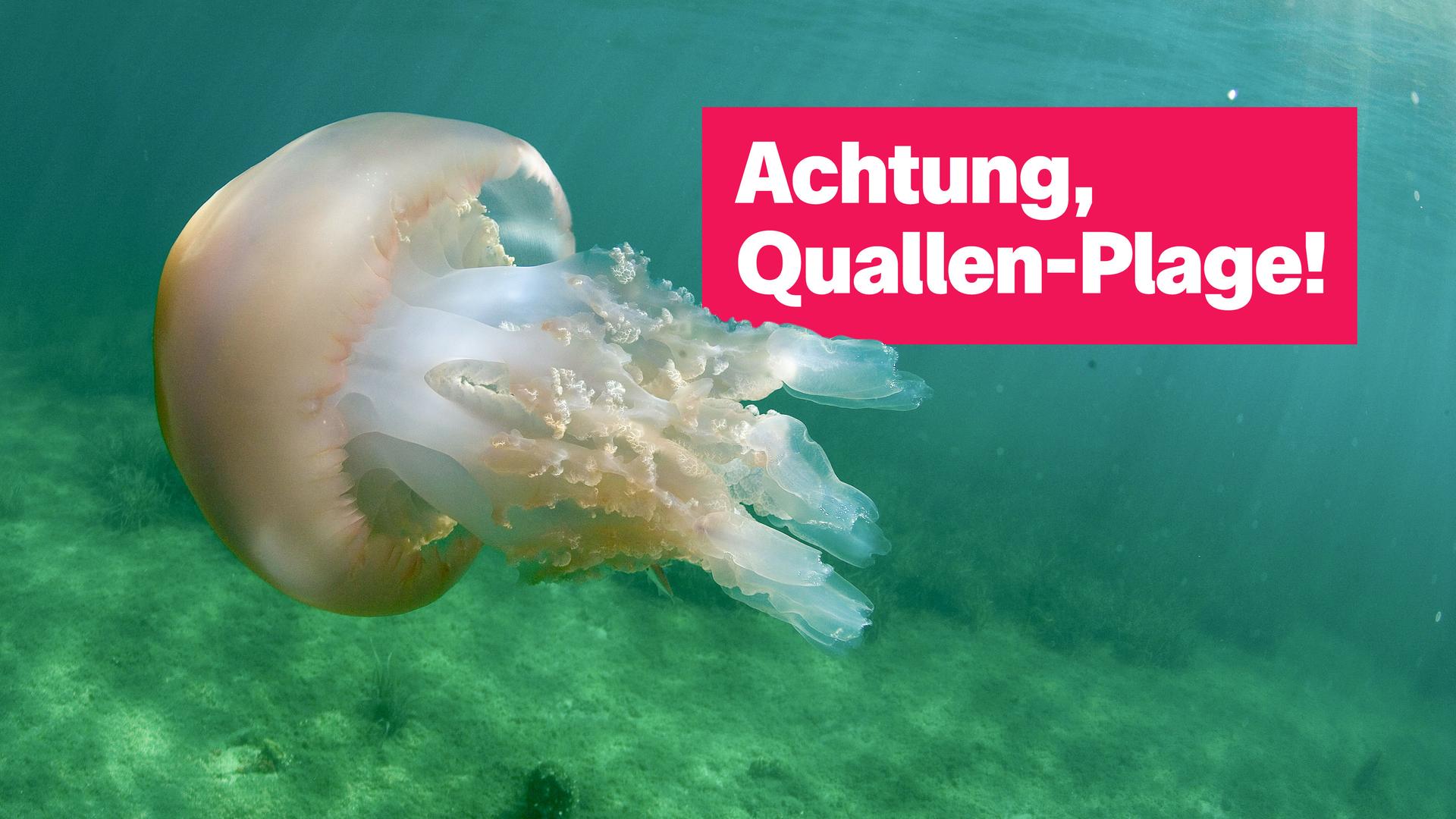 Sendung 30. April