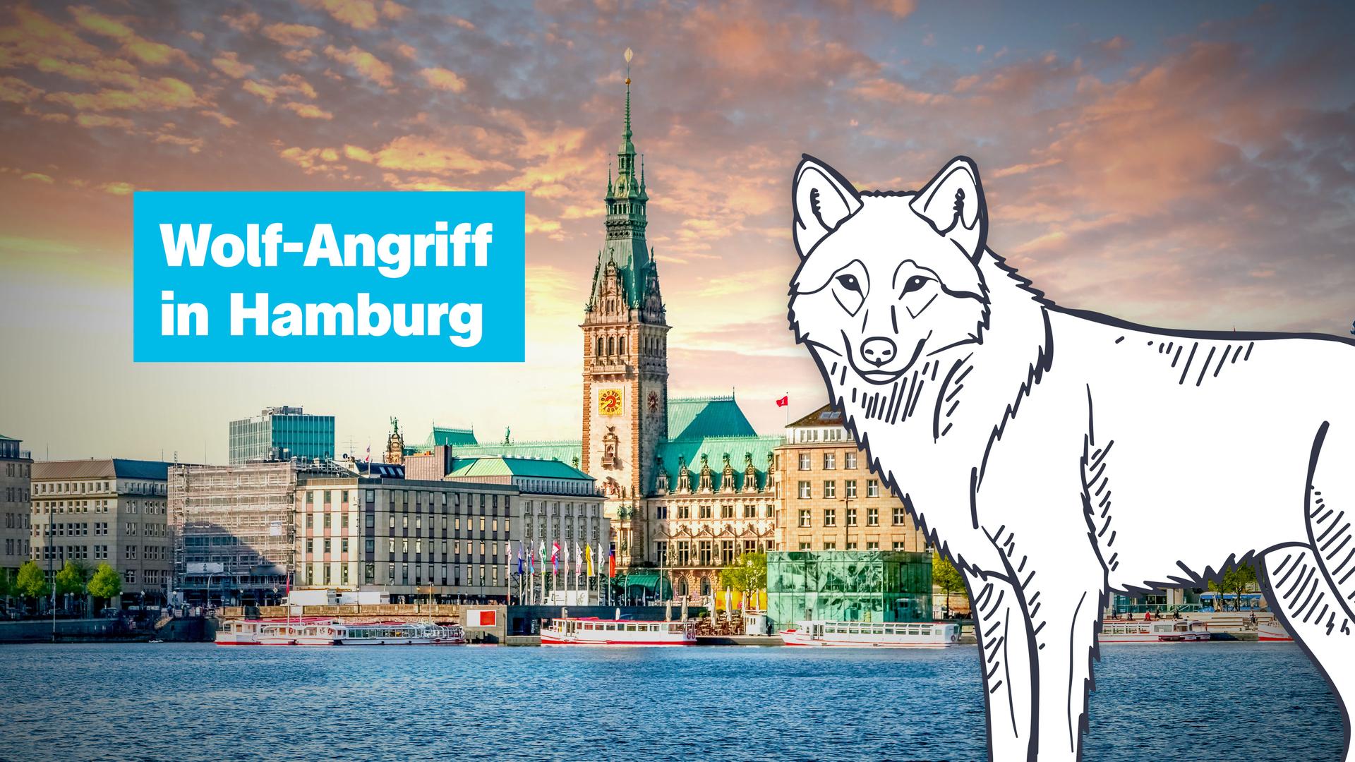 Frau wird von Wolf gebissen