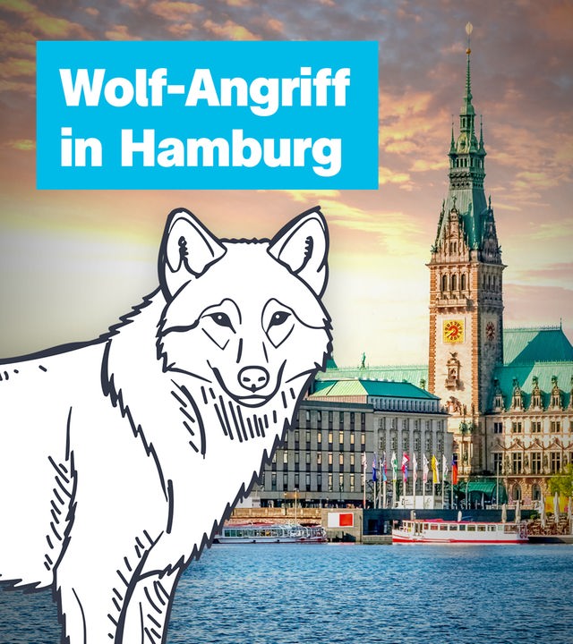 Frau wird von Wolf gebissen