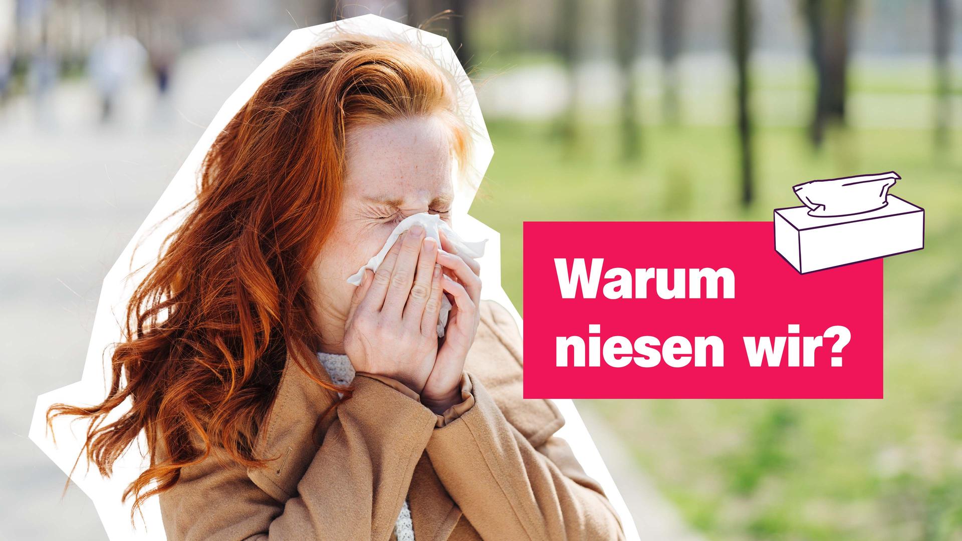 logo!-Sendungsteaser 8.12.2025