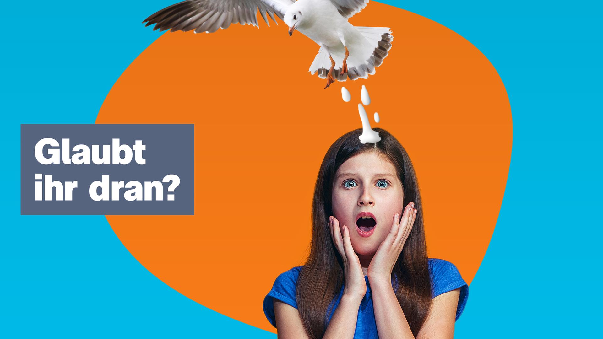 logo! am Freitag, 13. Oktober 2023