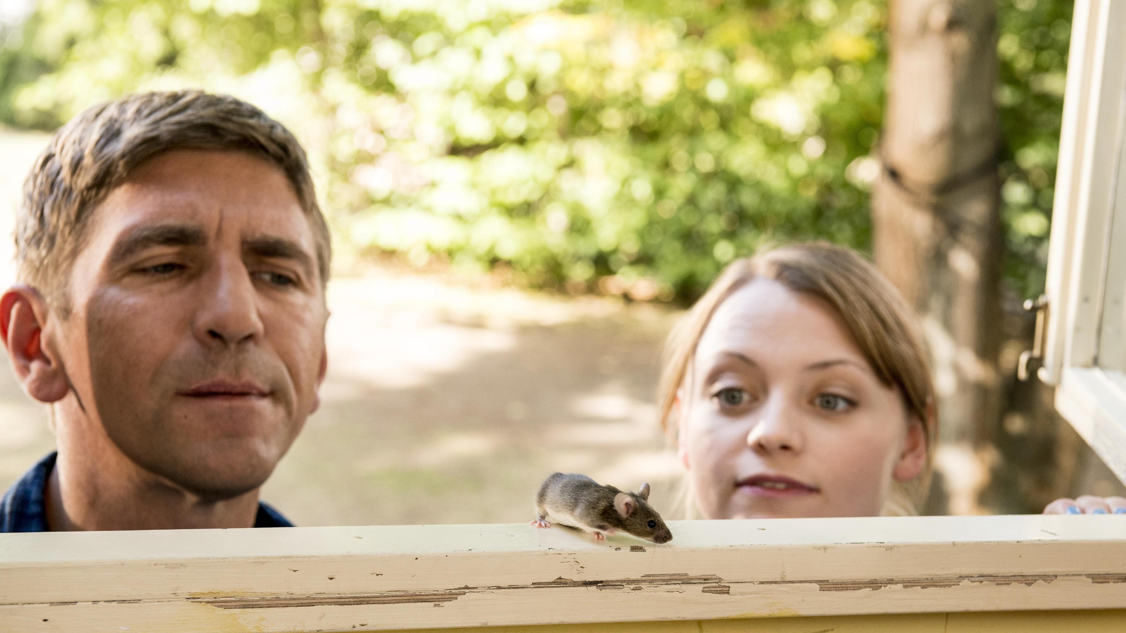 Fritz Fuchs (links) und seine Cousine (rechts) blicken von außen durch einen offen stehenden Bilderrahmen in den Bauwagen. Auf dem Rahmen balanciert eine Maus, die von den beiden beäugt wird.