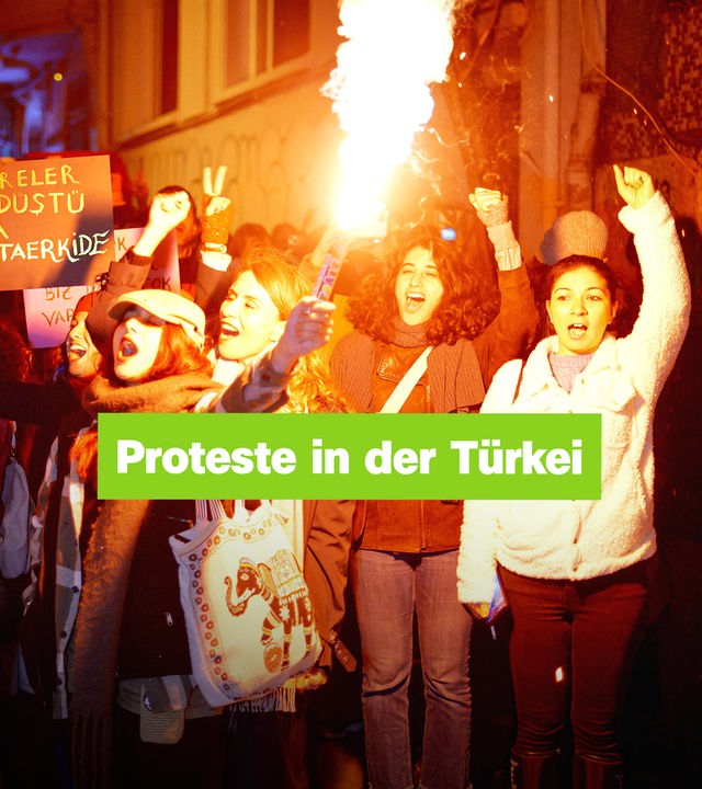 Protestierende Menschengruppe halten Schilder hoch. Rechts der Schriftzug: "Proteste in der Türkei".