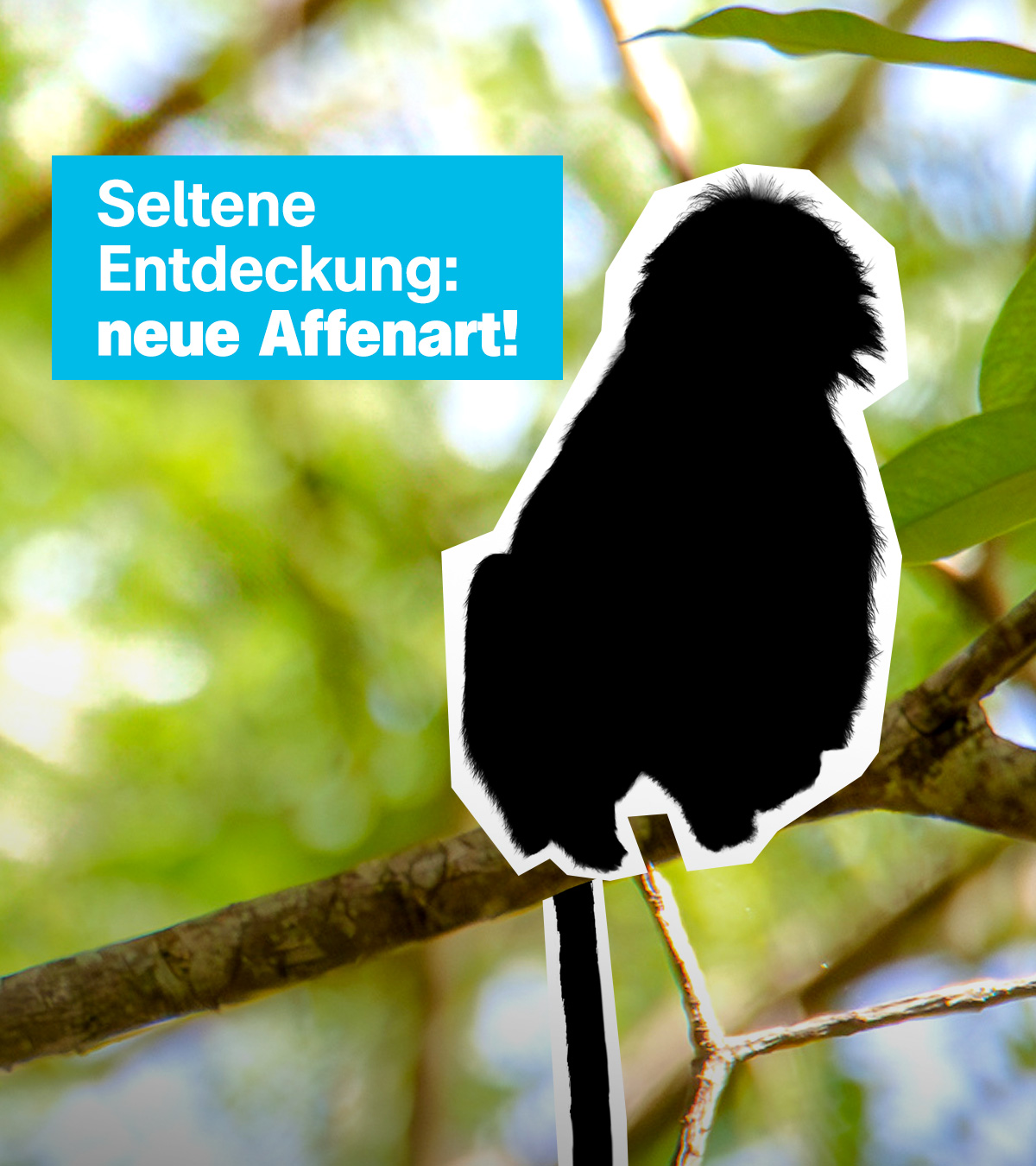Sendungsteaser vom 17. Juli 2026