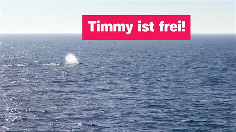 Sendungsteaser vom 2. Mai 2026