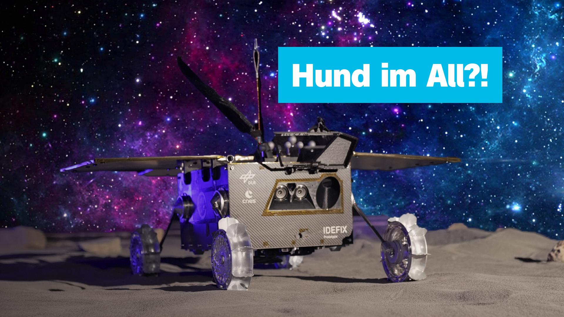 Bild für logo! vom Dienstag, 20. Oktober 2026