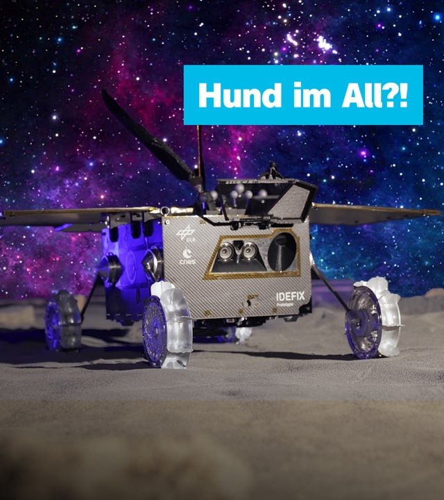 Sendungsteaser vom 20. Oktober 2026