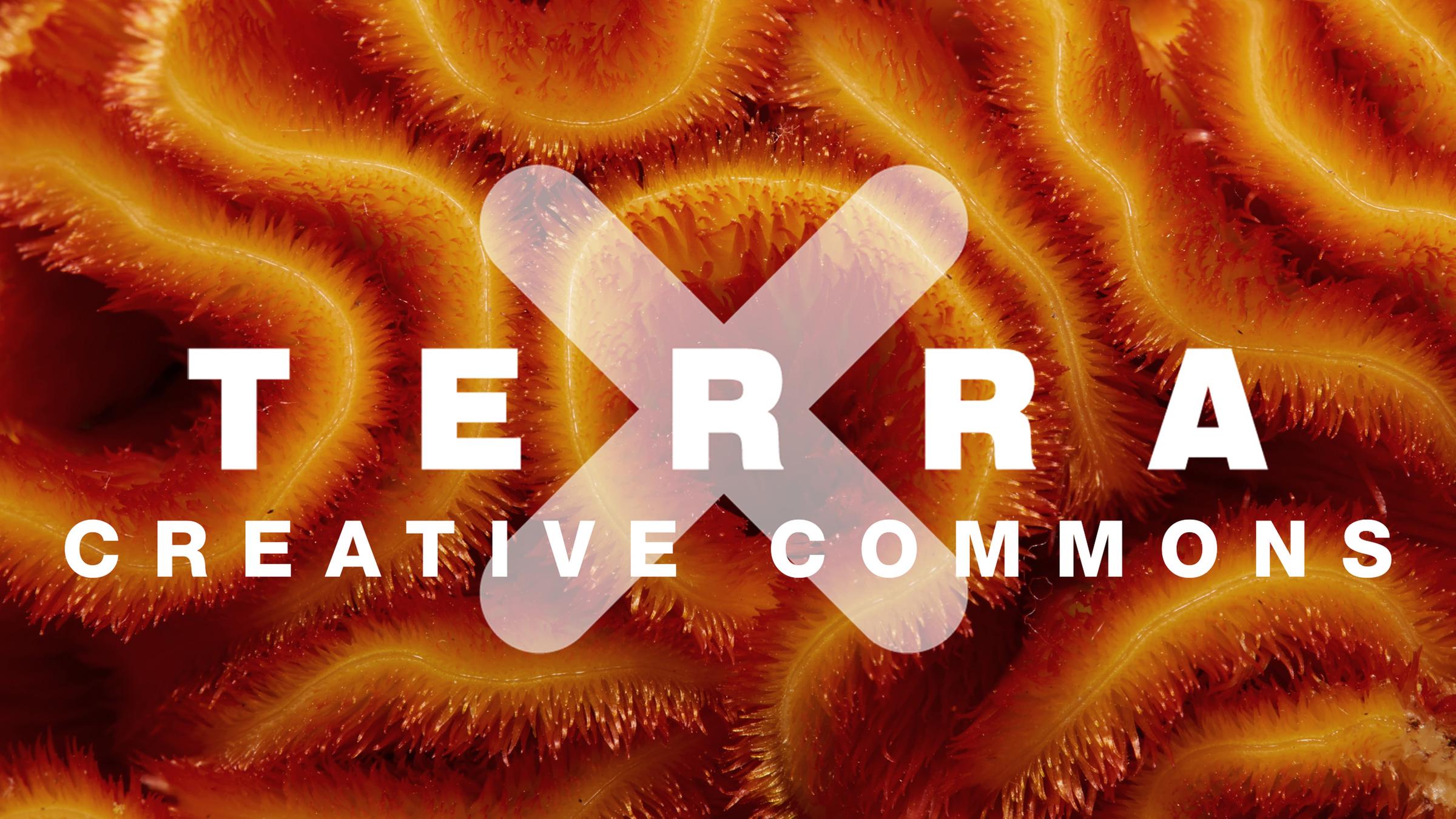 Terra X - Creative Commons