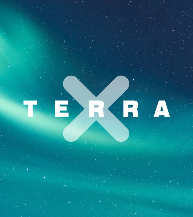 Terra X - Das Web