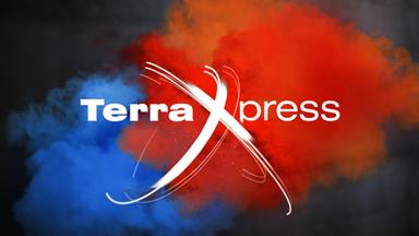 Zdfinfo - Terra Xpress Xxl: Tierdieben Auf Der Spur