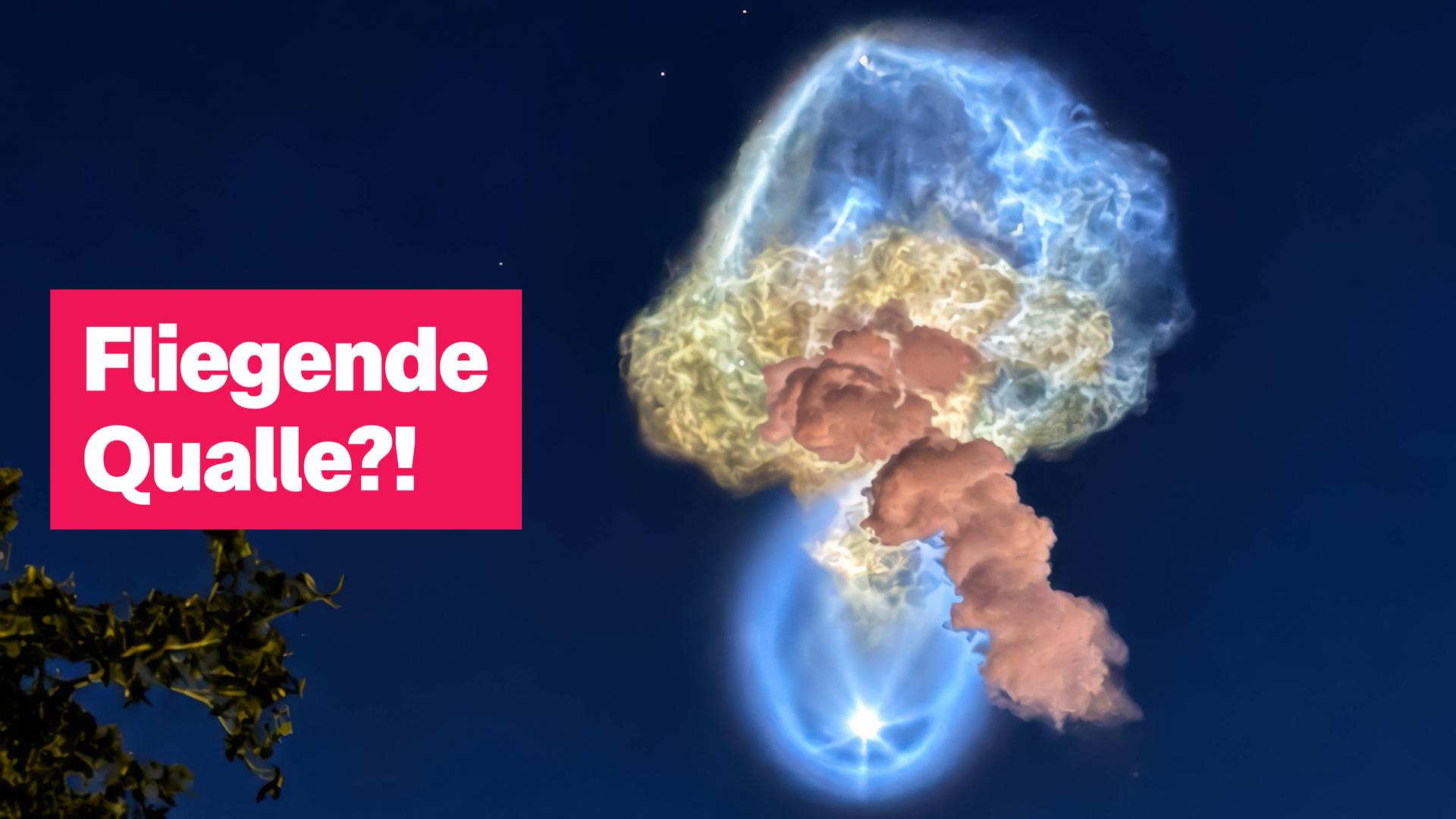 Aufnahme der "Weltraumqualle"