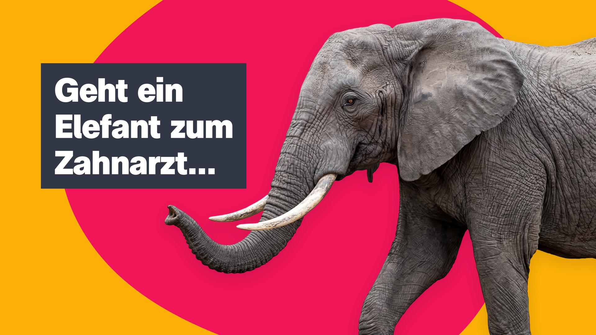 Sendungsteaser vom 16. Oktober 2026