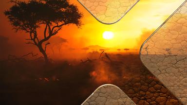 Terra X Dokumentationen Und Kurzclips - Serengeti - Paradies In Flammen