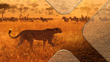 Terra X Dokumentationen Und Kurzclips - Serengeti - überlebenskampf